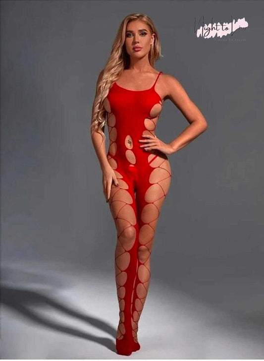 Mesh Fishnet Bodystocking Lingerie (N-T-L-101)