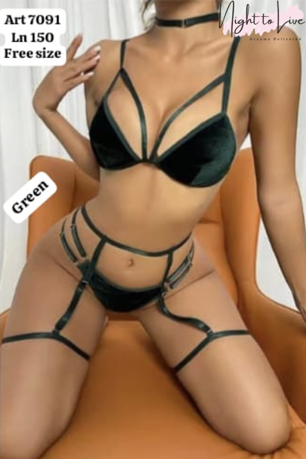 3 pec bikni garter set  (N-T-L-247)