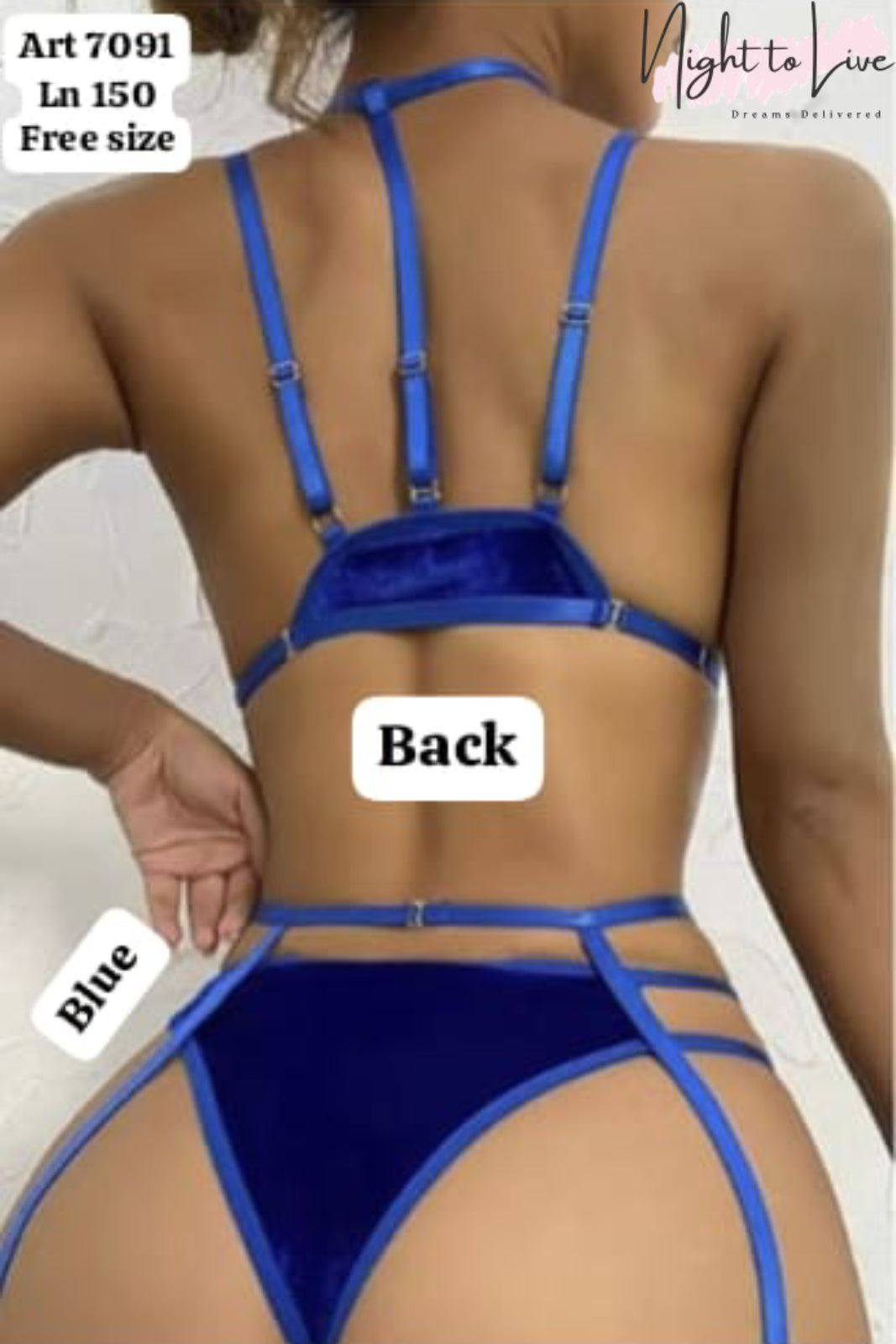 3 pec bikni garter set  (N-T-L-248)