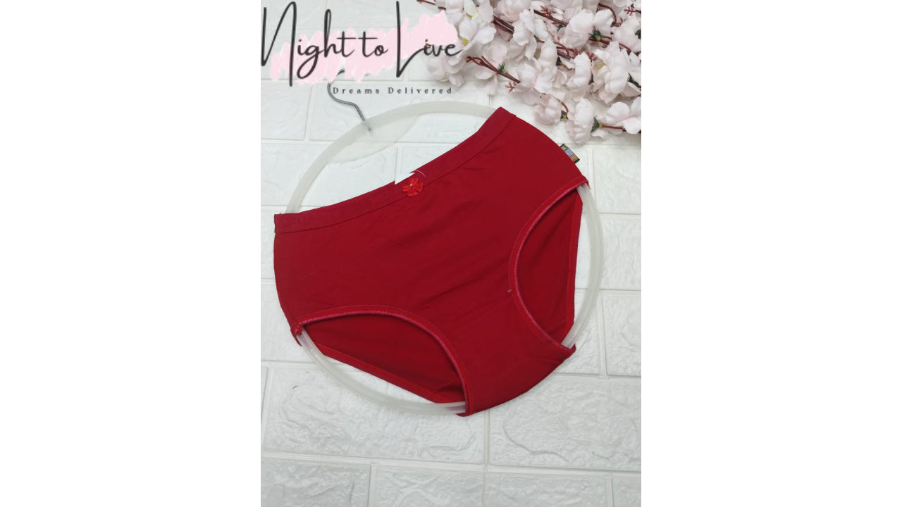 Ladies' Seamless Underwear (PACK OF 2)(N-T-L-147)