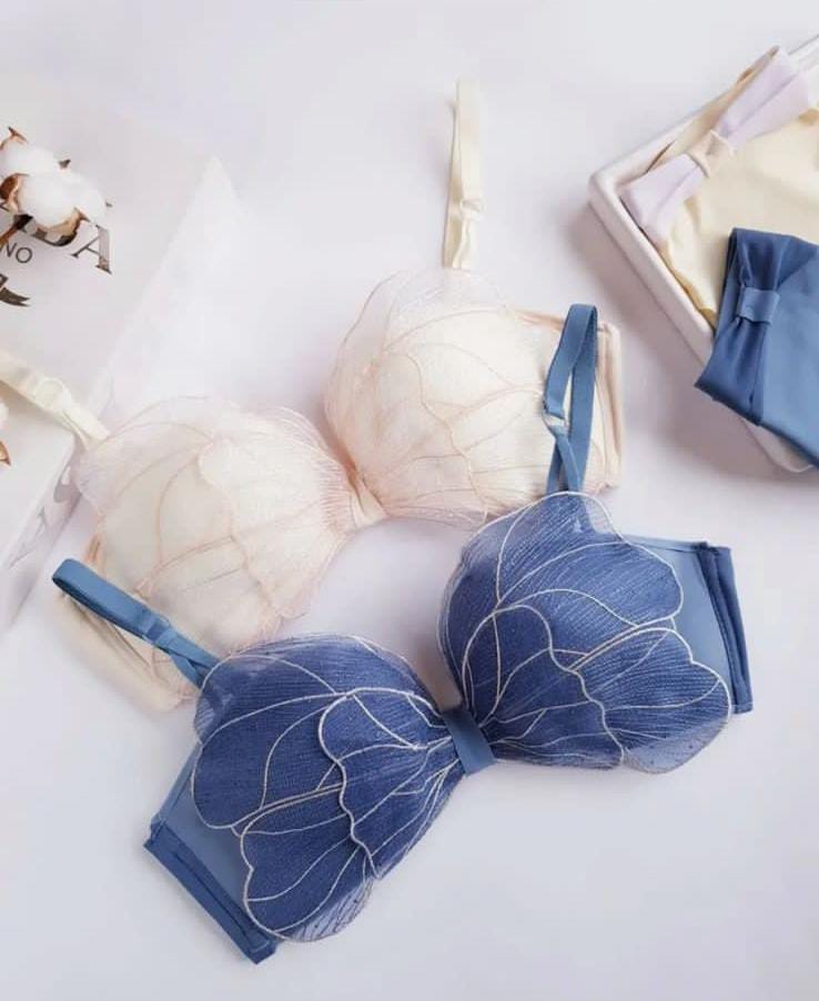Imported Elegance Sweet Butterfly Style 🦋 Bra & Panty Set – Soft Padded - 358