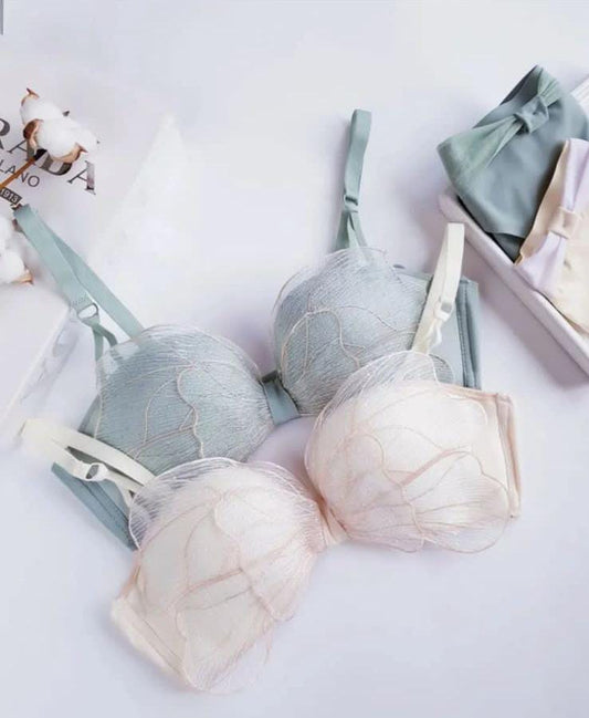 Imported Elegance Sweet Butterfly Style 🦋 Bra & Panty Set – Soft Padded